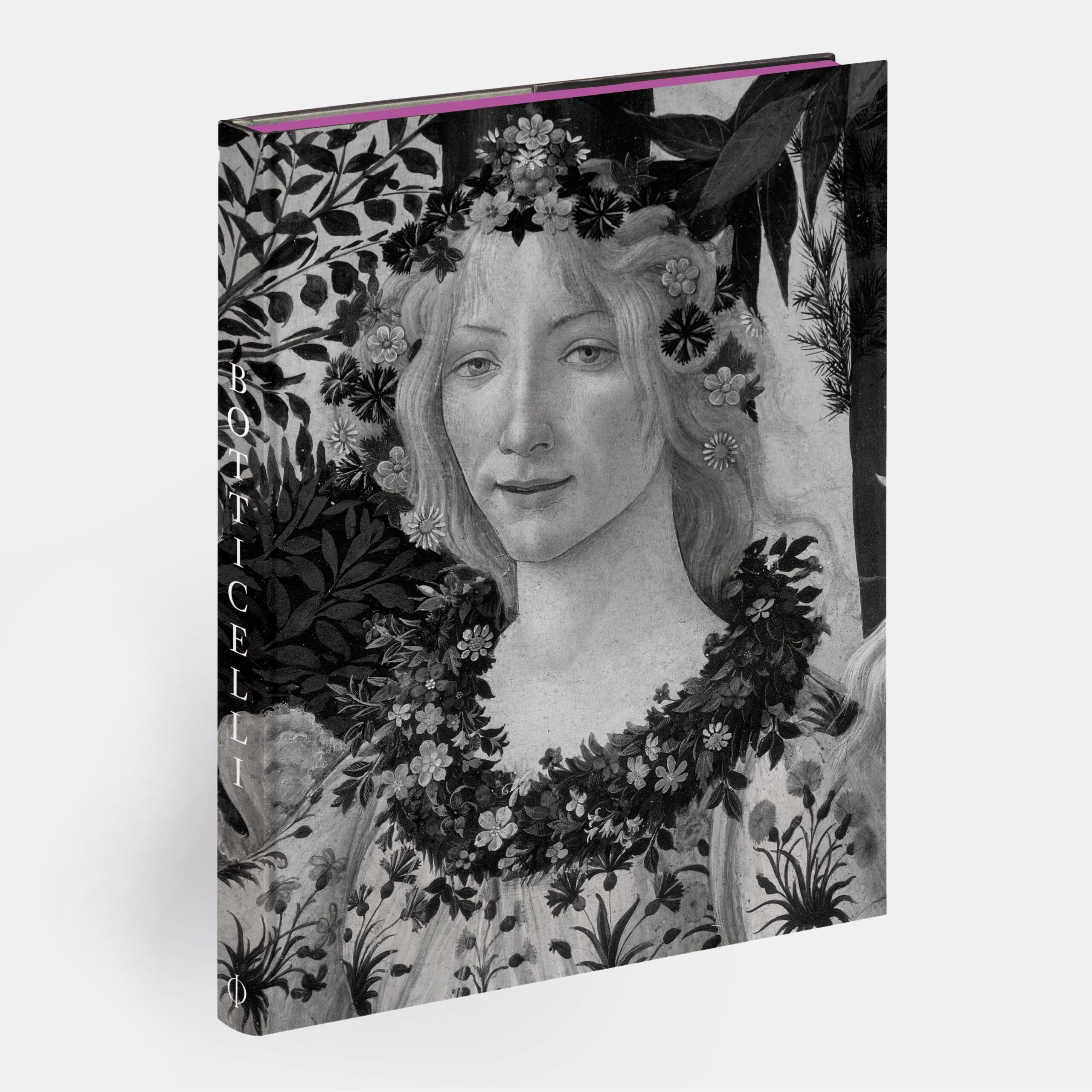 Botticelli cover