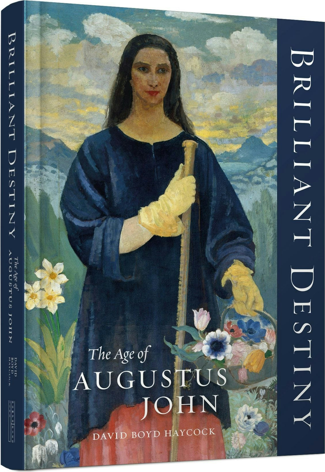 Brilliant Destiny