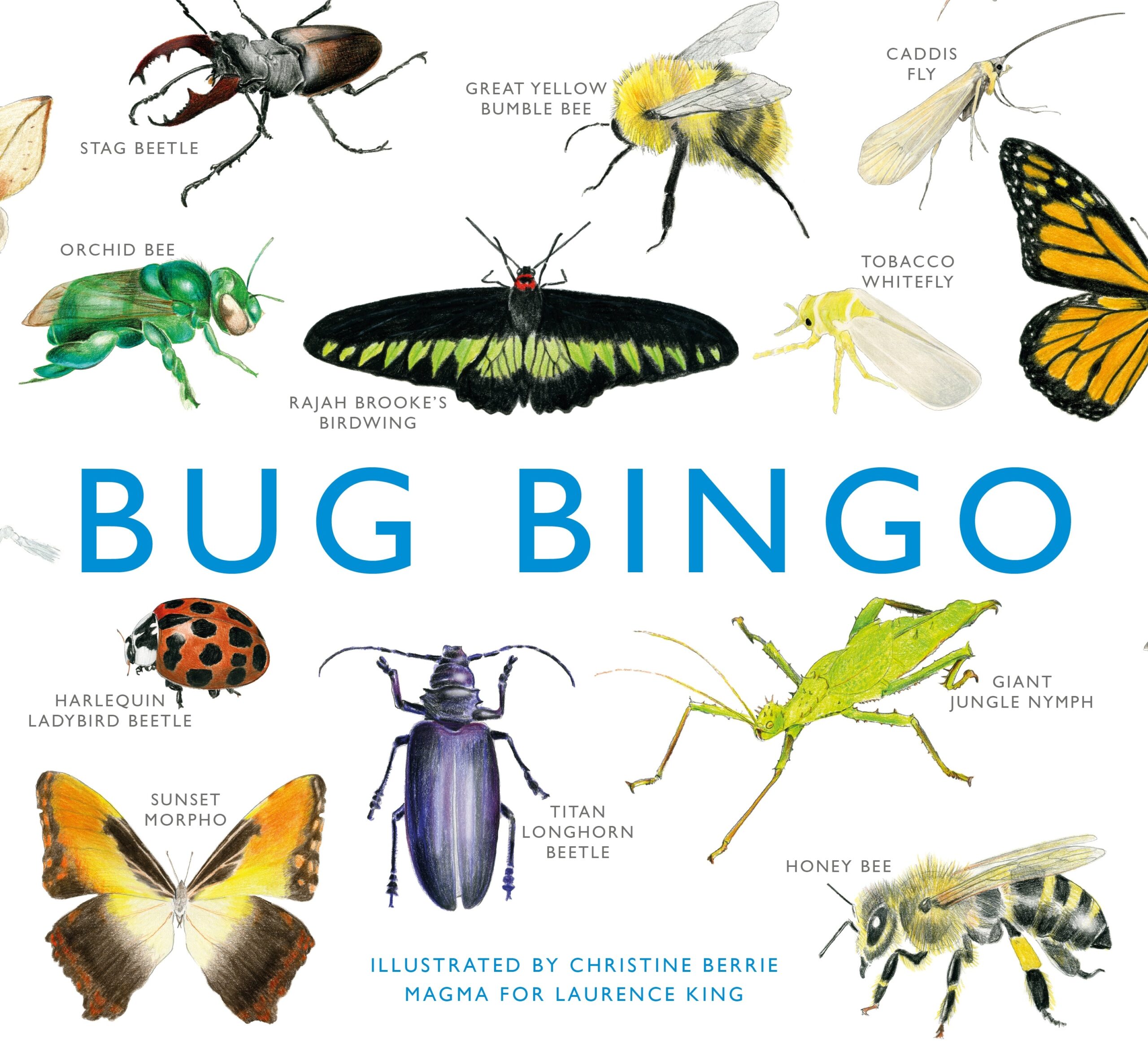 Bug Bingo cover