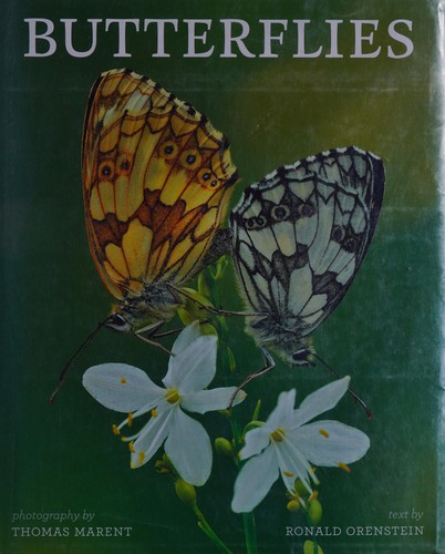 Butterflies cover
