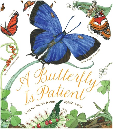 Butterfly Is Patient cover