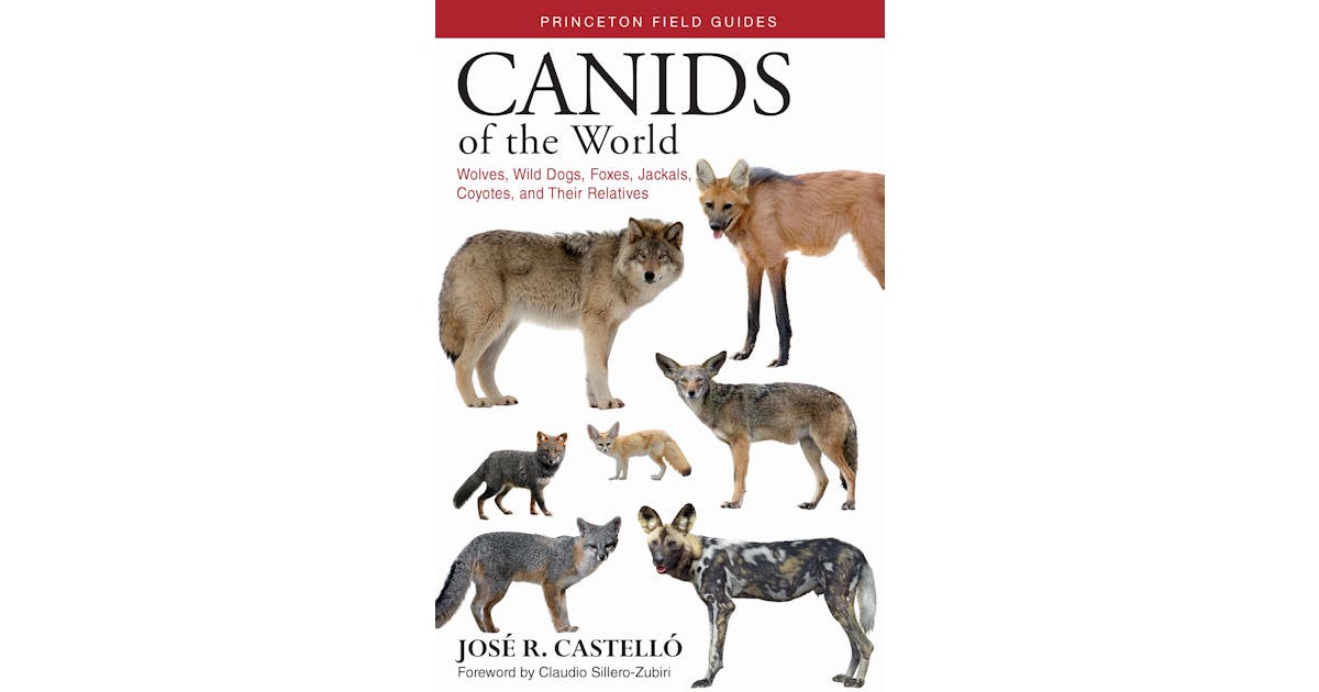 Canids of the World: Wolves, Wild Dogs, Foxes, Jackals, Coyotes, and Their Relatives cover