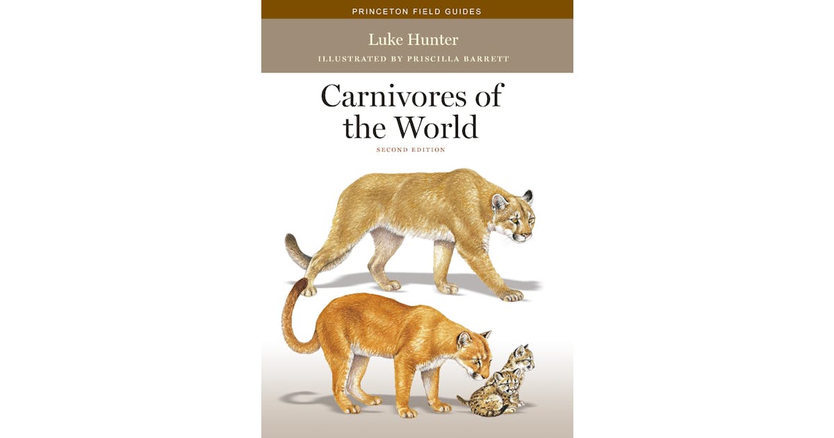 Carnivores of the World: Second Edition