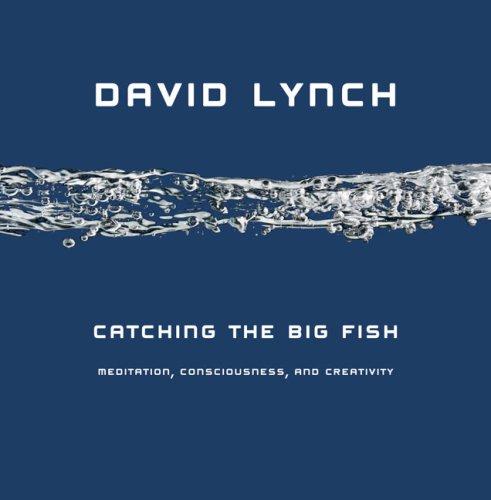 Catching the Big Fish: Meditation, Consciousness, and Creativity cover