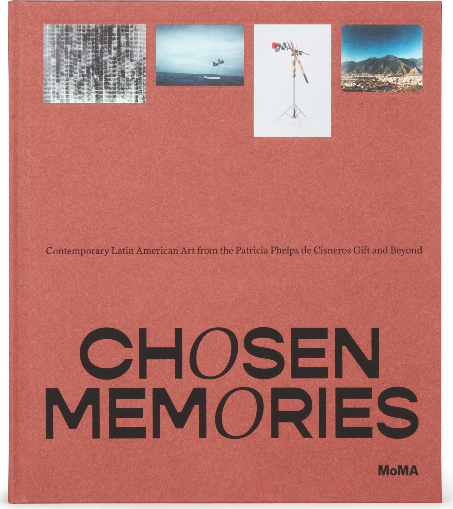 Chosen Memories: Contemporary Latin American Art from the Patricia Phelps de Cisneros Gift and Beyond