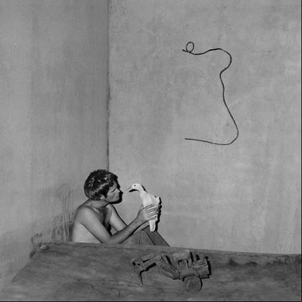 Roger Ballen: In Contemplation cover