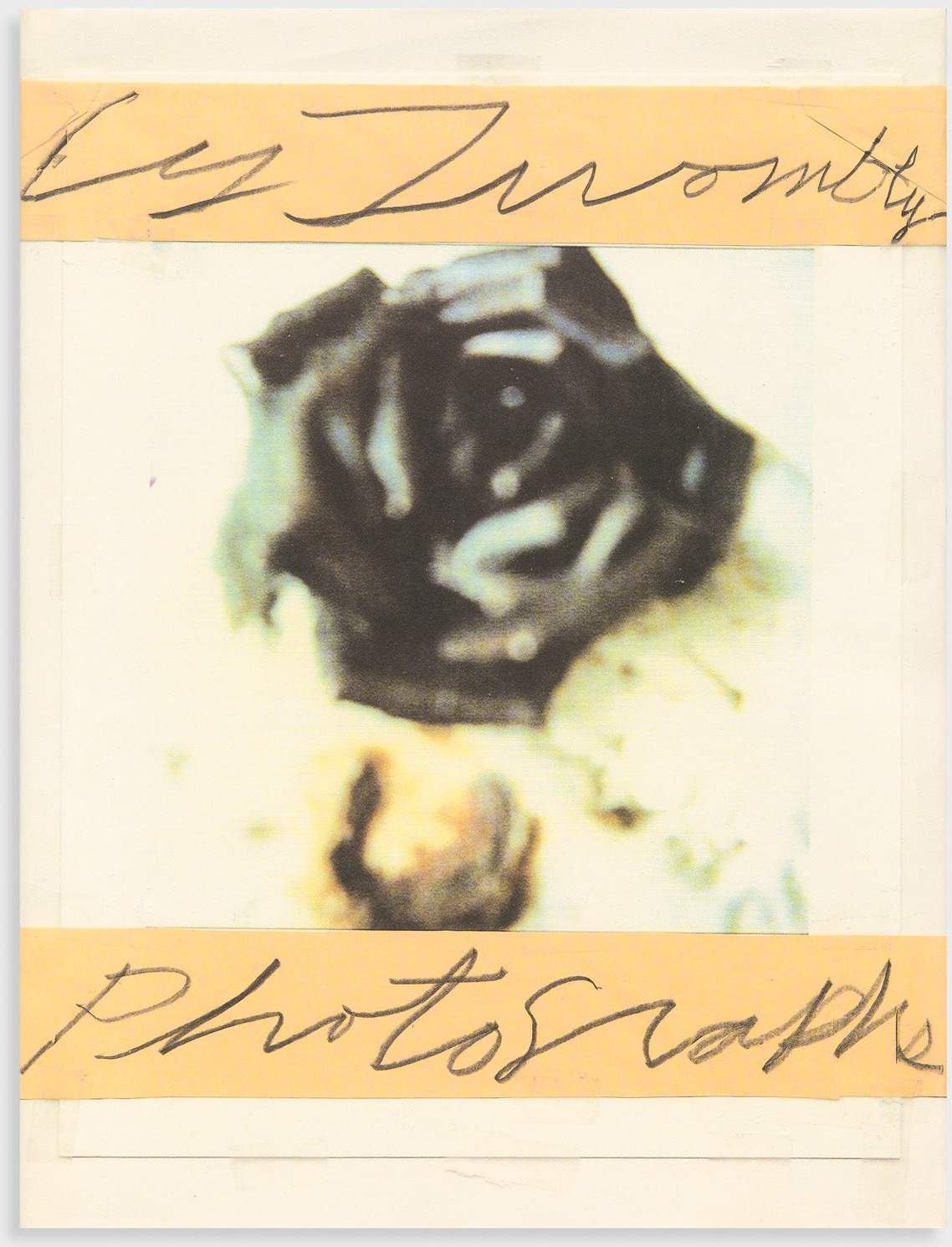 Cy Twombly: Photographs 1951-1999