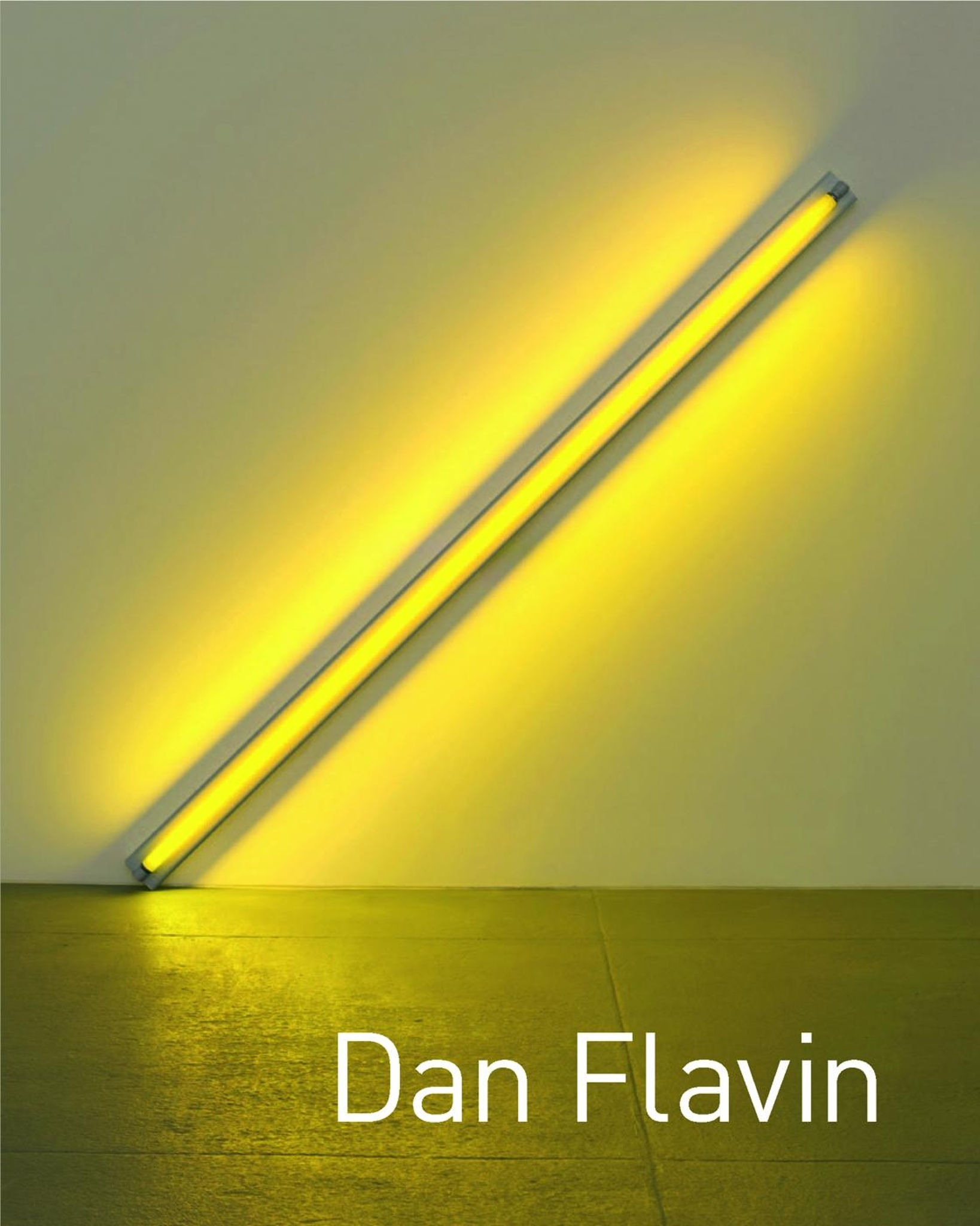 Dan Flavin cover