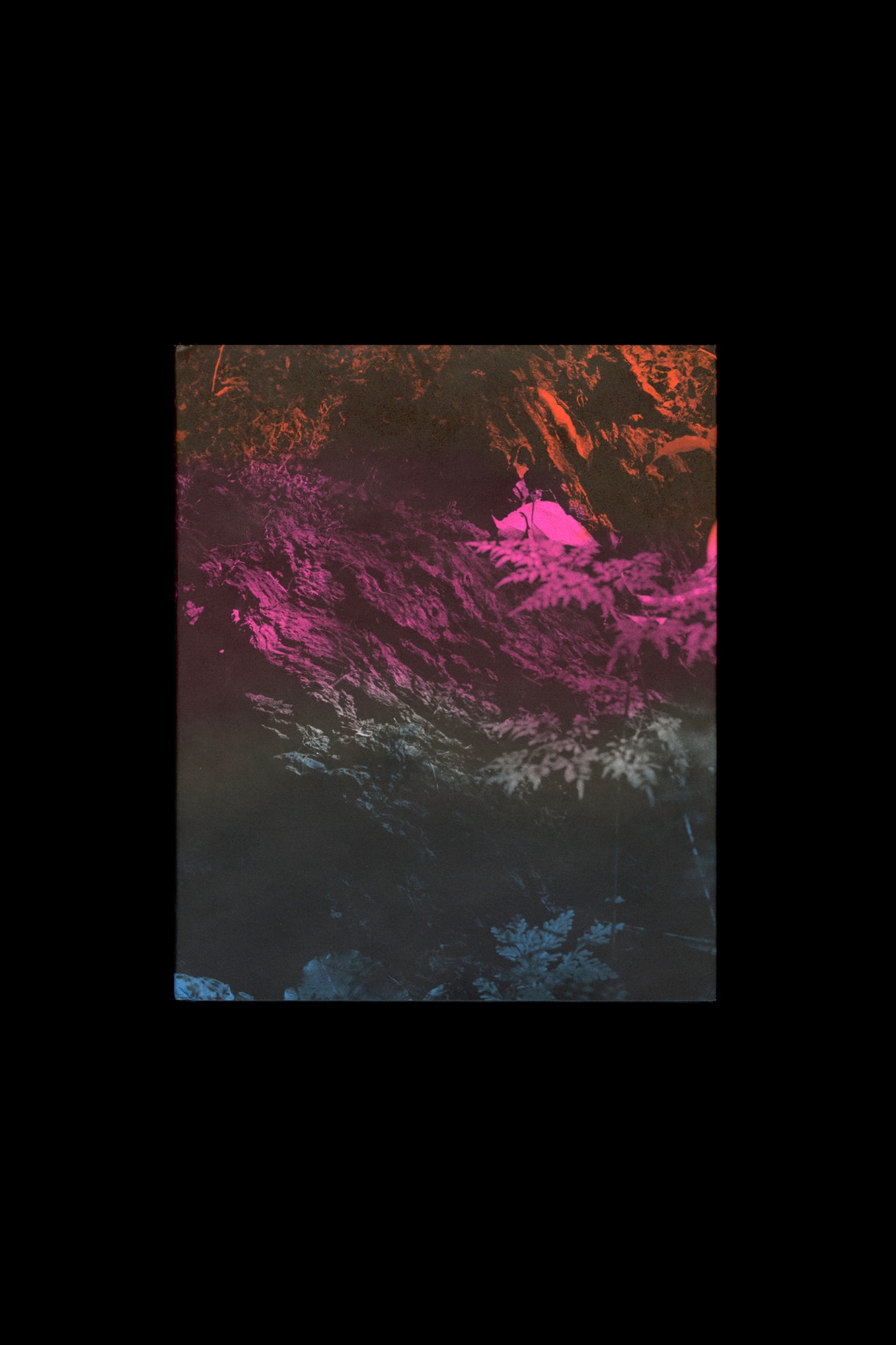 Daniel Jack Lyons: Like a River