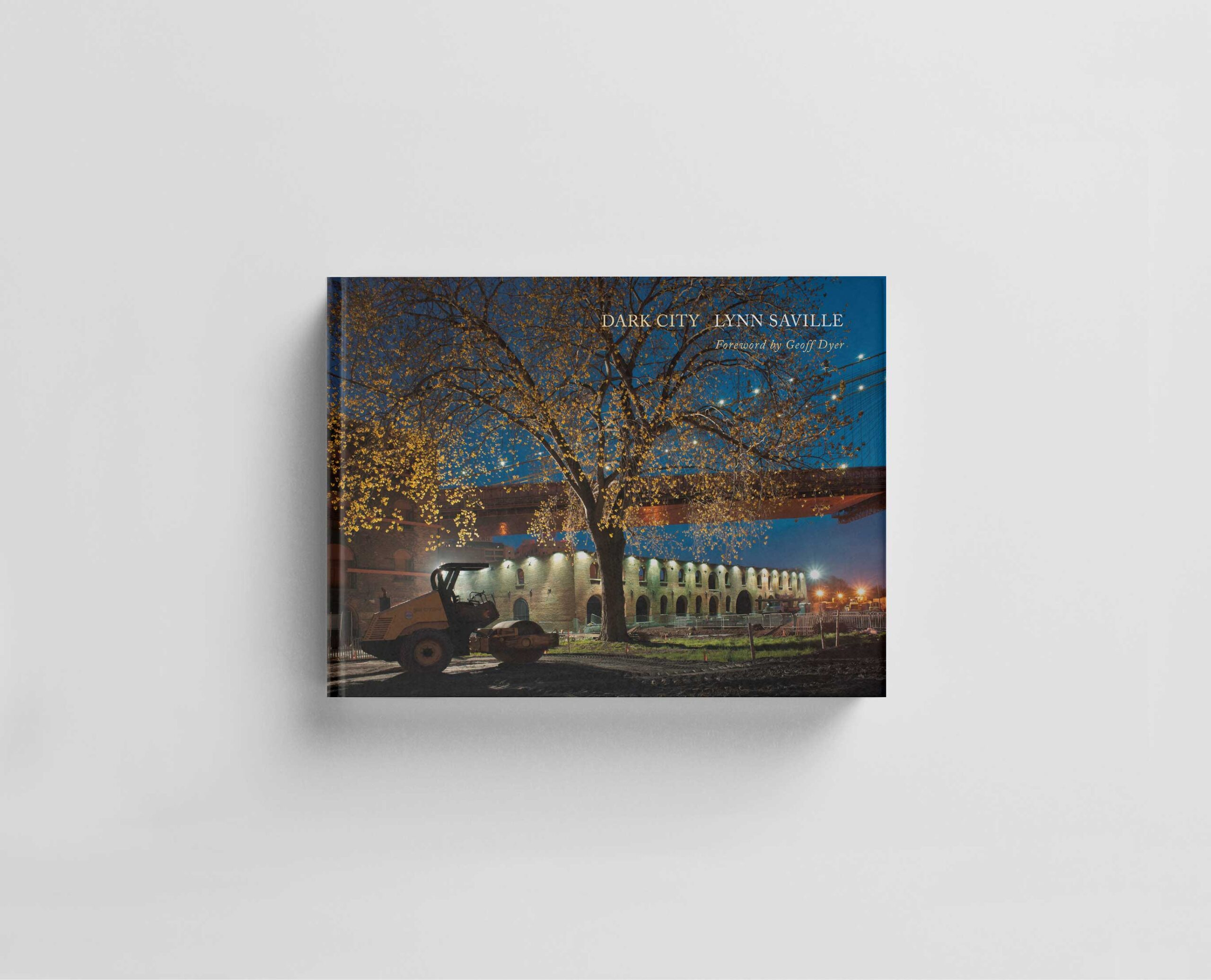Dark City. Urban America at Night cover