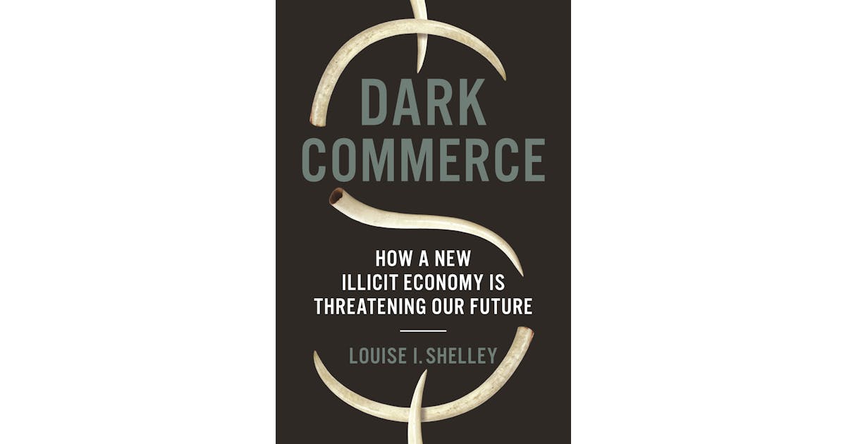 Dark Commerce: How a New Illicit Economy Is Threatening Our Future cover