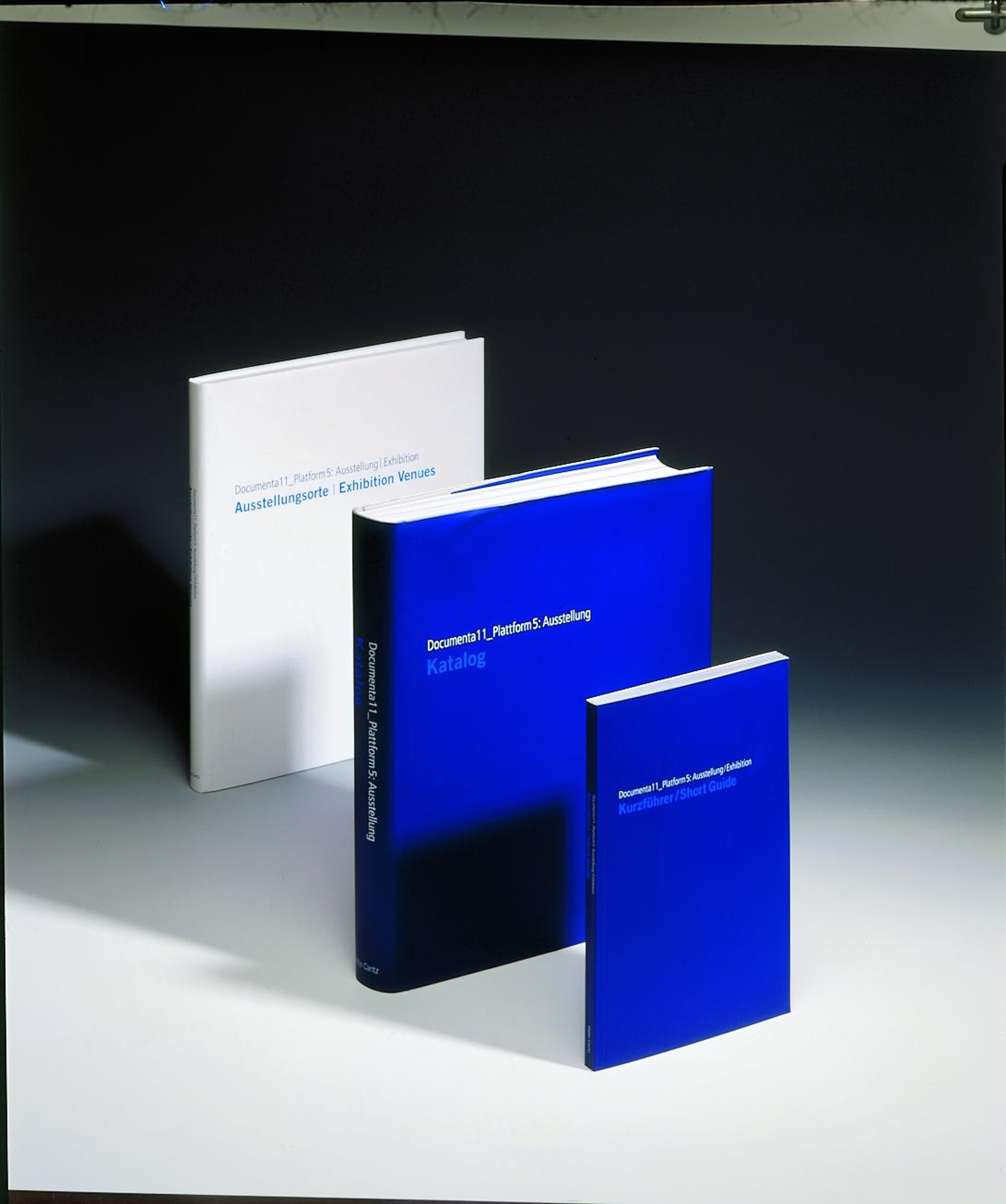 Das Documenta11-Paket