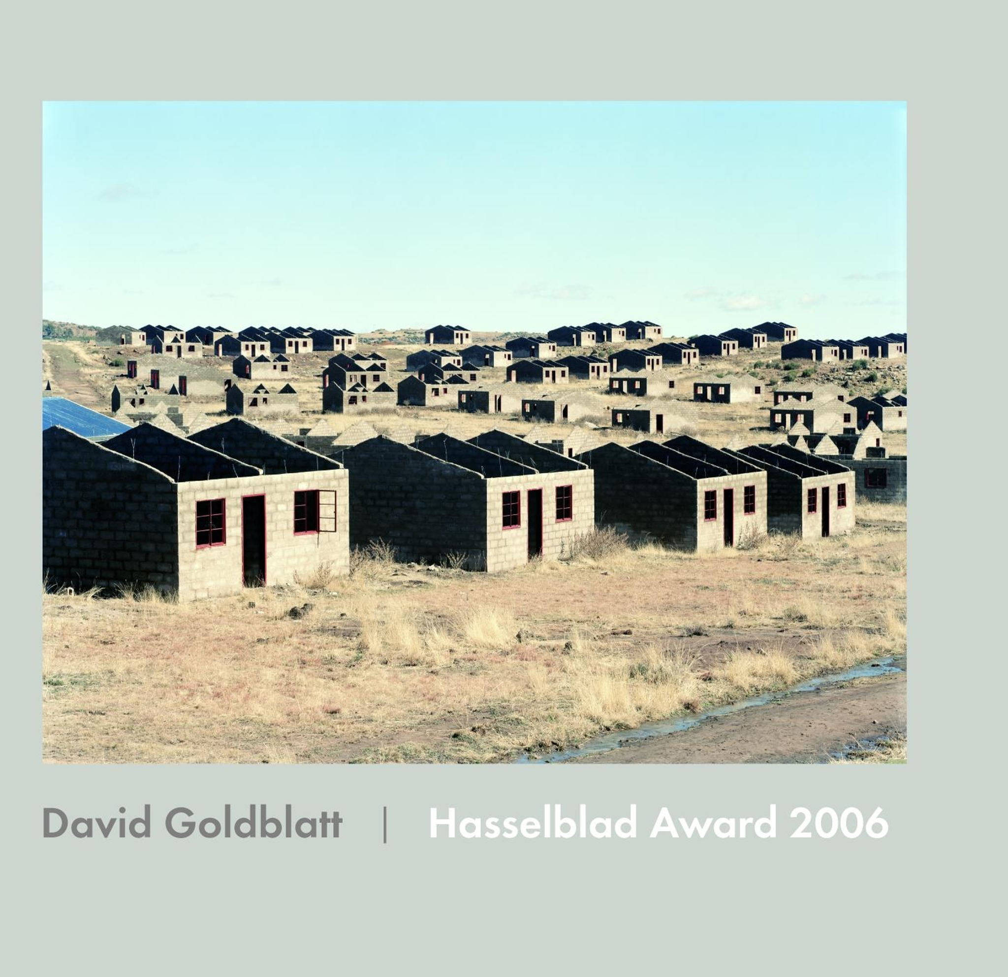 David Goldblatt