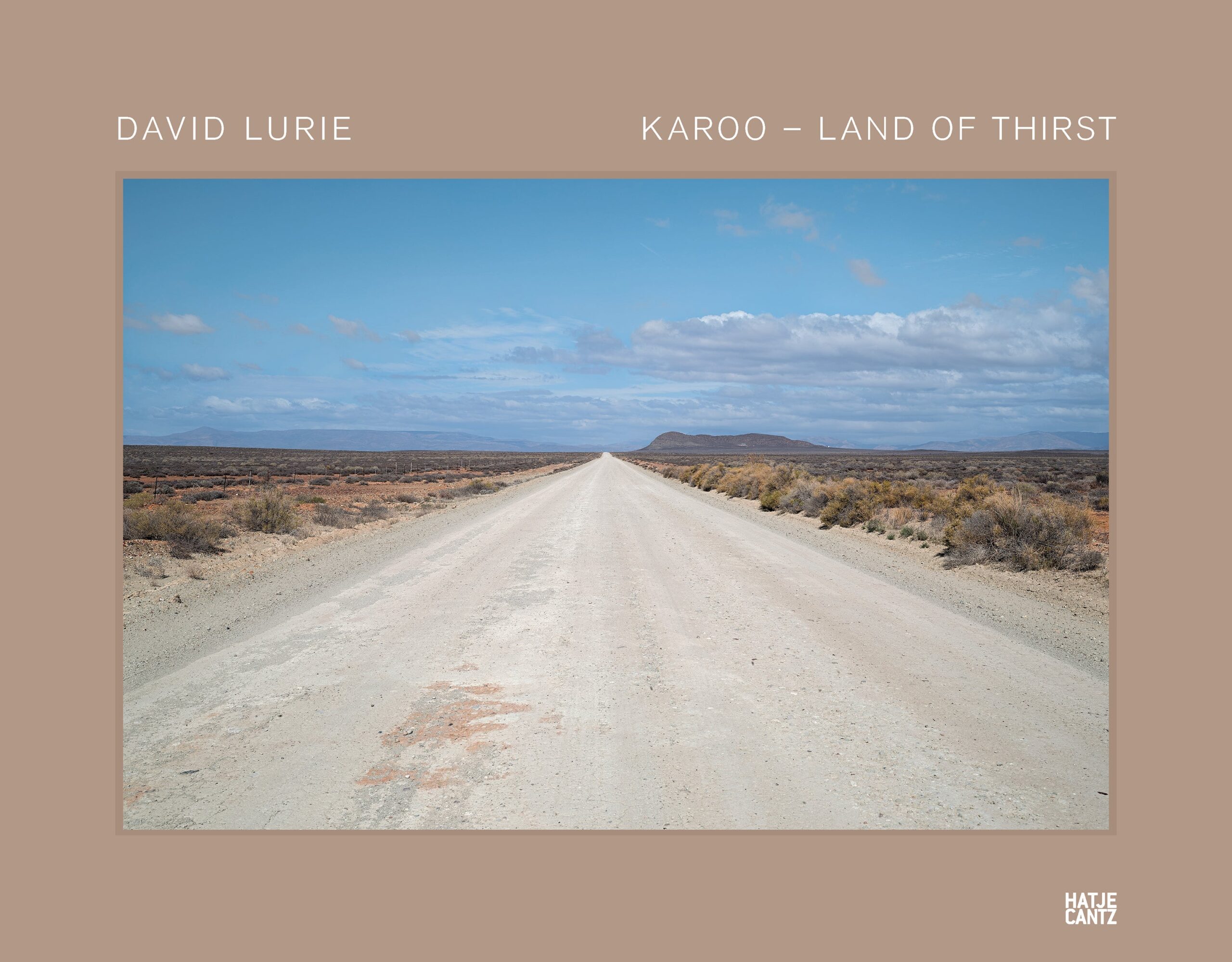 David Lurie