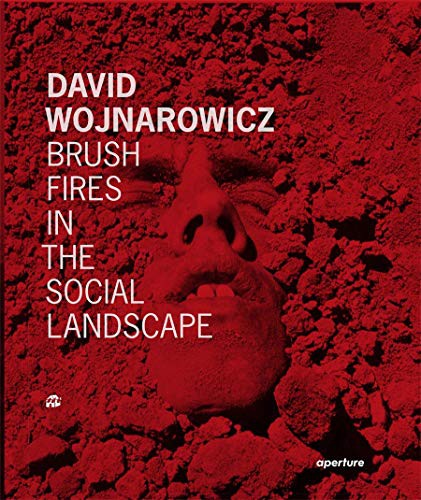 David Wojnarowicz: Brush Fires in the Social Landscape: Twentieth Anniversary Edition (Revised)