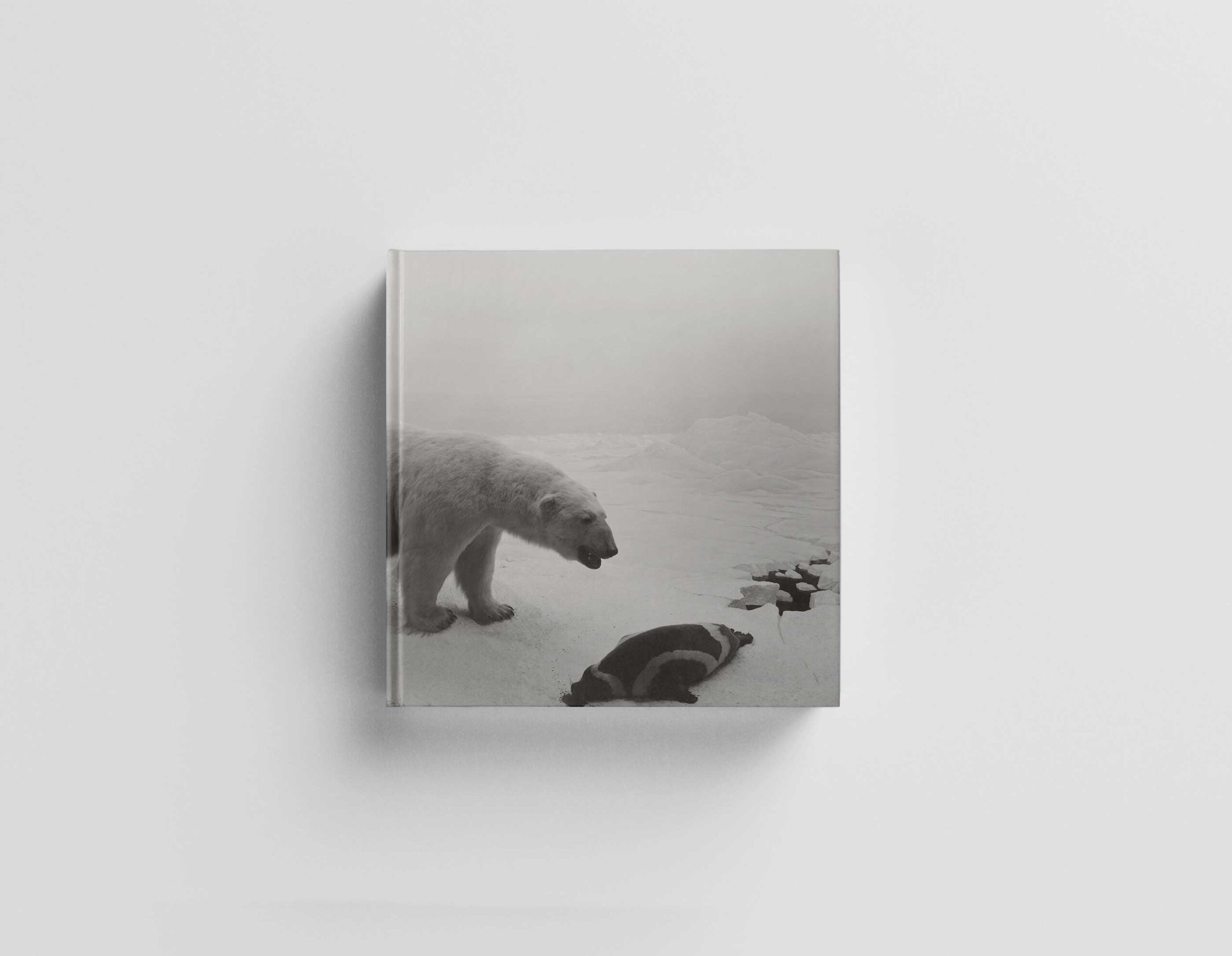 Dioramas cover