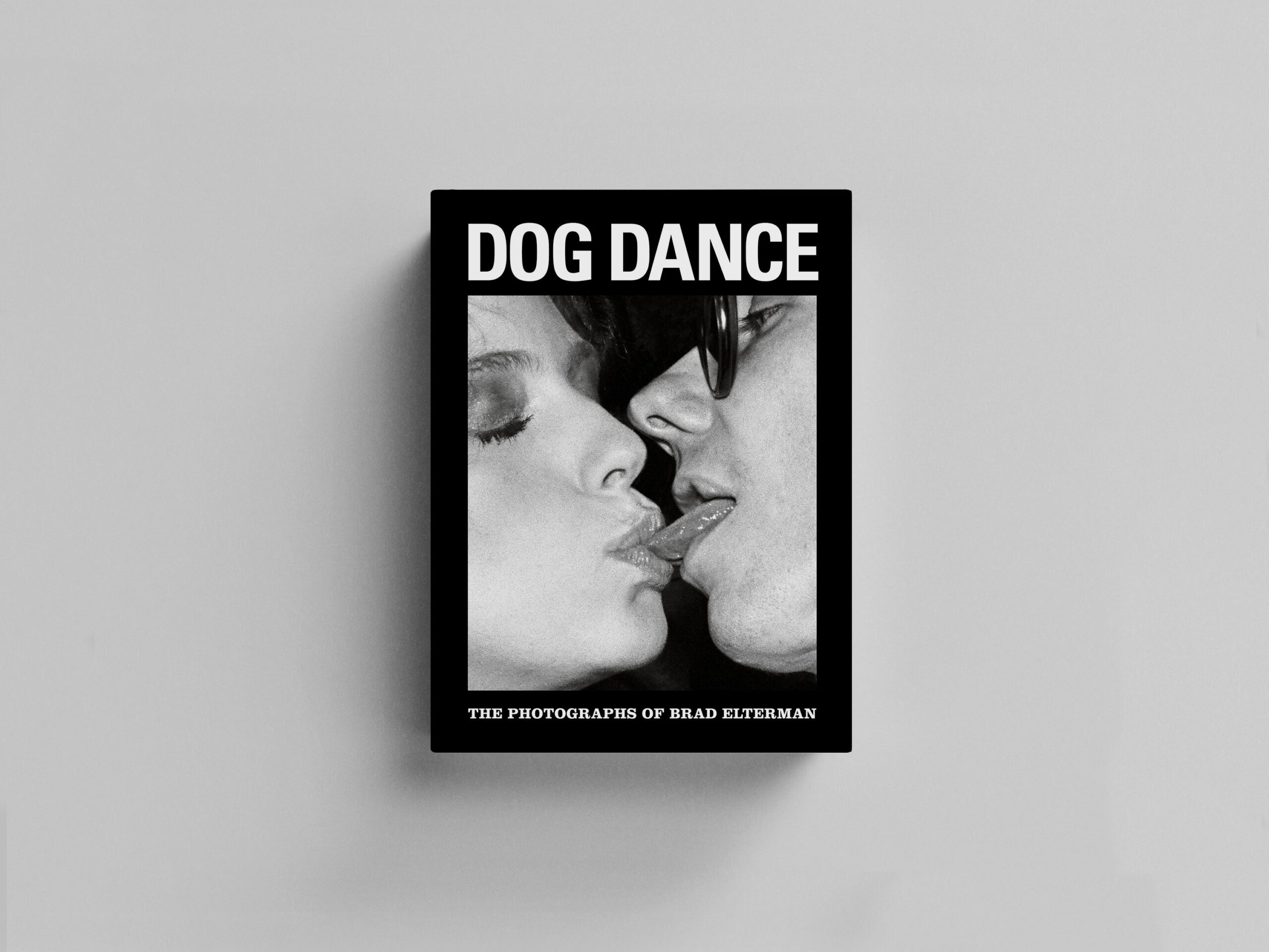 Dog Dance cover