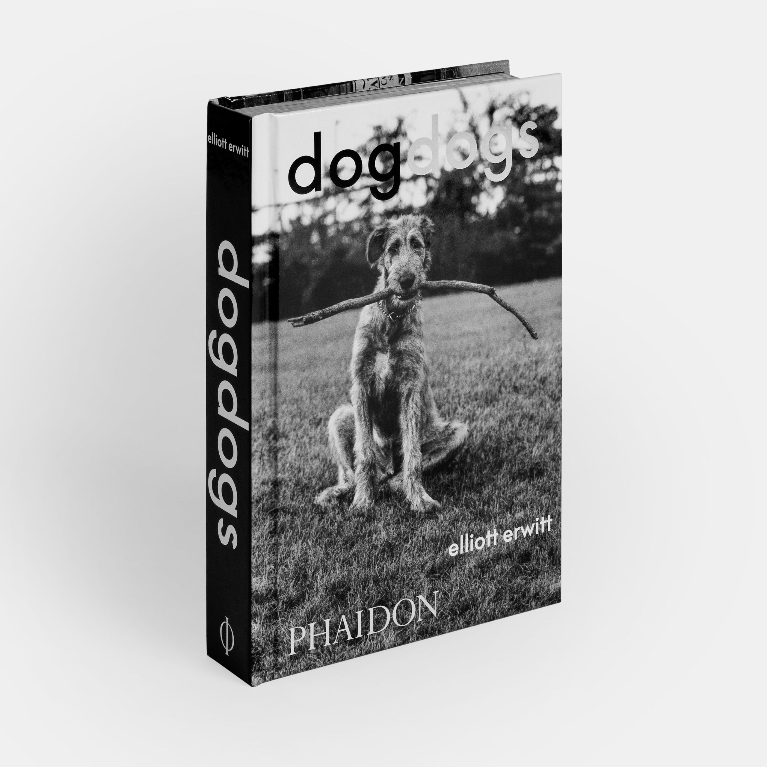 DogDogs cover