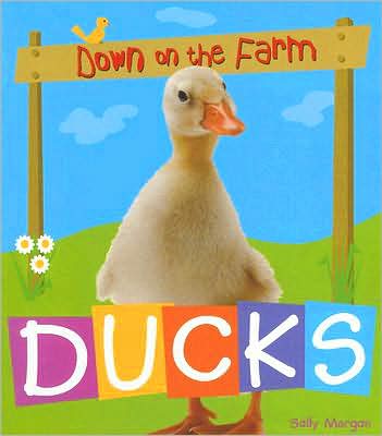 Ducks cover