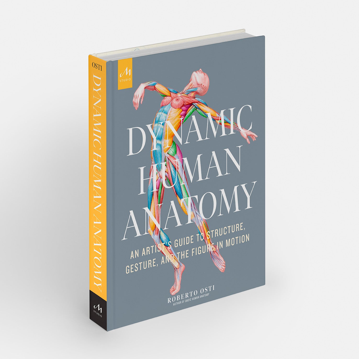 Dynamic Human Anatomy: An Artist’s Guide to Structure, Gesture, and the Figure in Motion