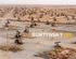 Edward Burtynsky: Oil – ARTBOOK|D.A.P. cover