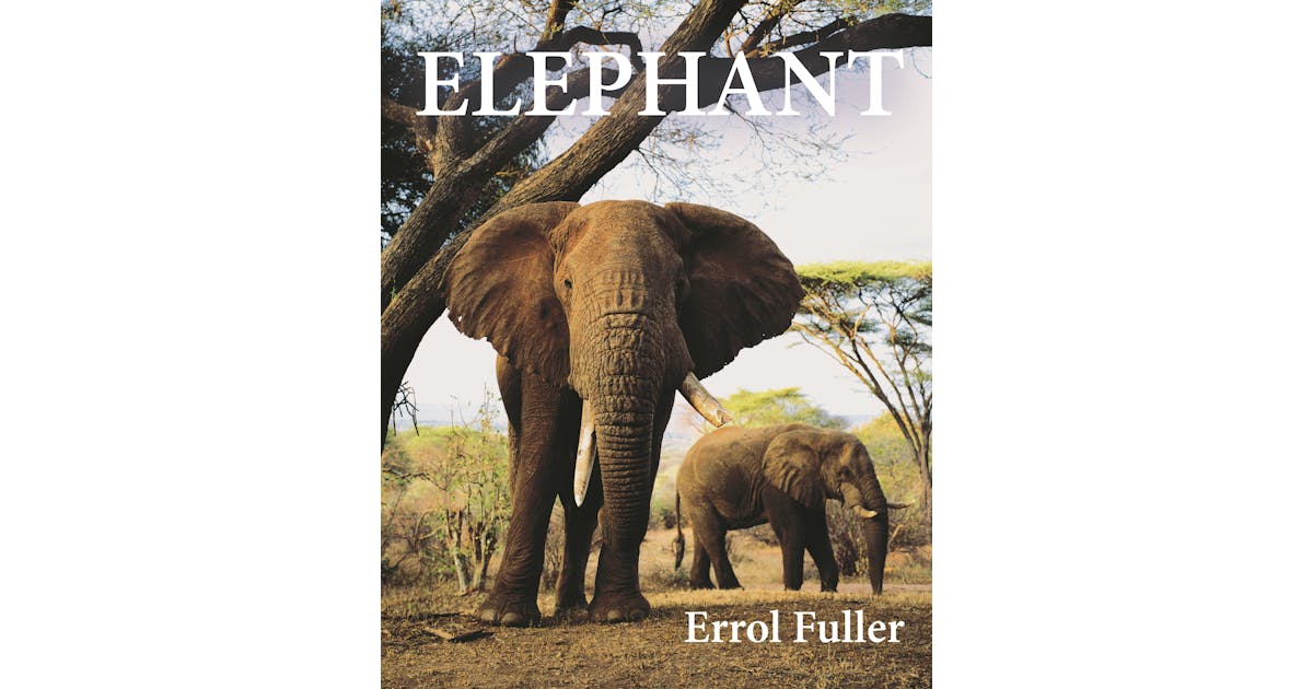 Elephant cover