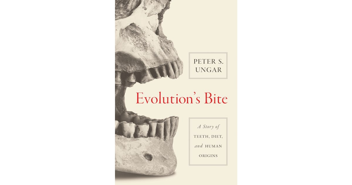 Evolution’s Bite: A Story of Teeth, Diet, and Human Origins cover