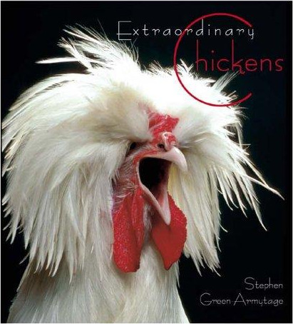 Extraordinary Chickens cover