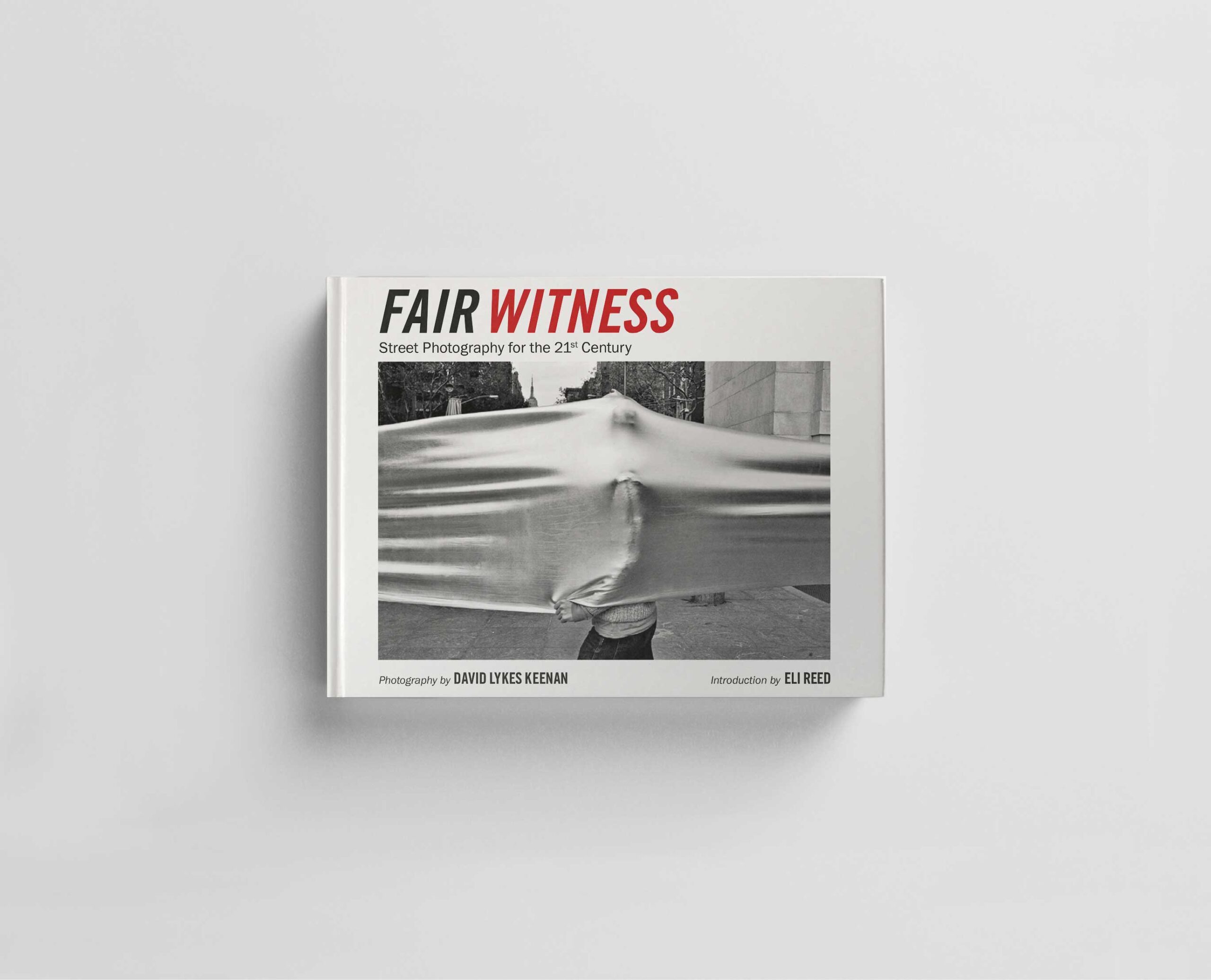 Fair Witness cover