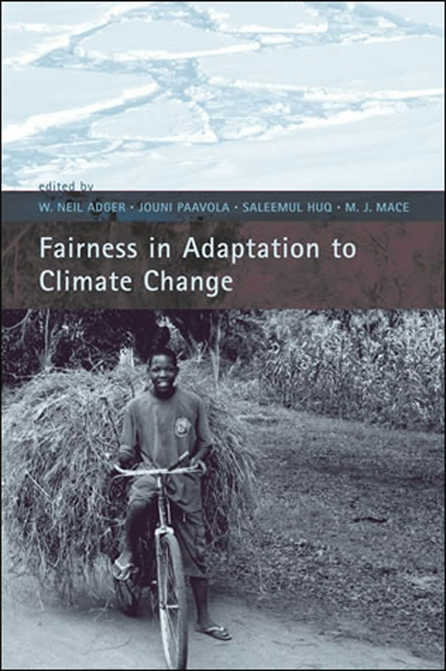 Fairness in Adaptation to Climate Change
