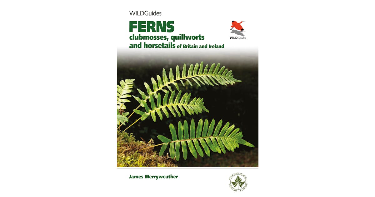Ferns: Clubmosses, Quillworts and Horsetails of Britain and Ireland