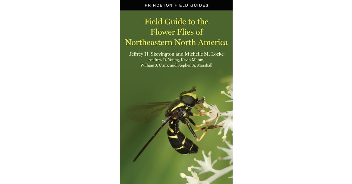 Field Guide to the Flower Flies of Northeastern North America