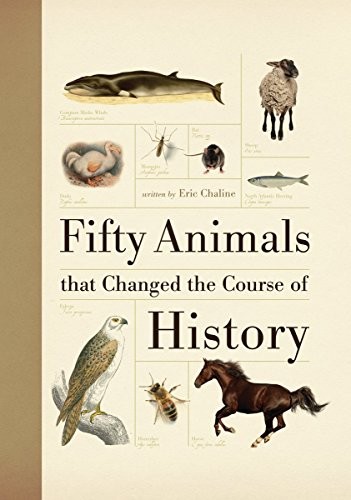 The Course of History cover
