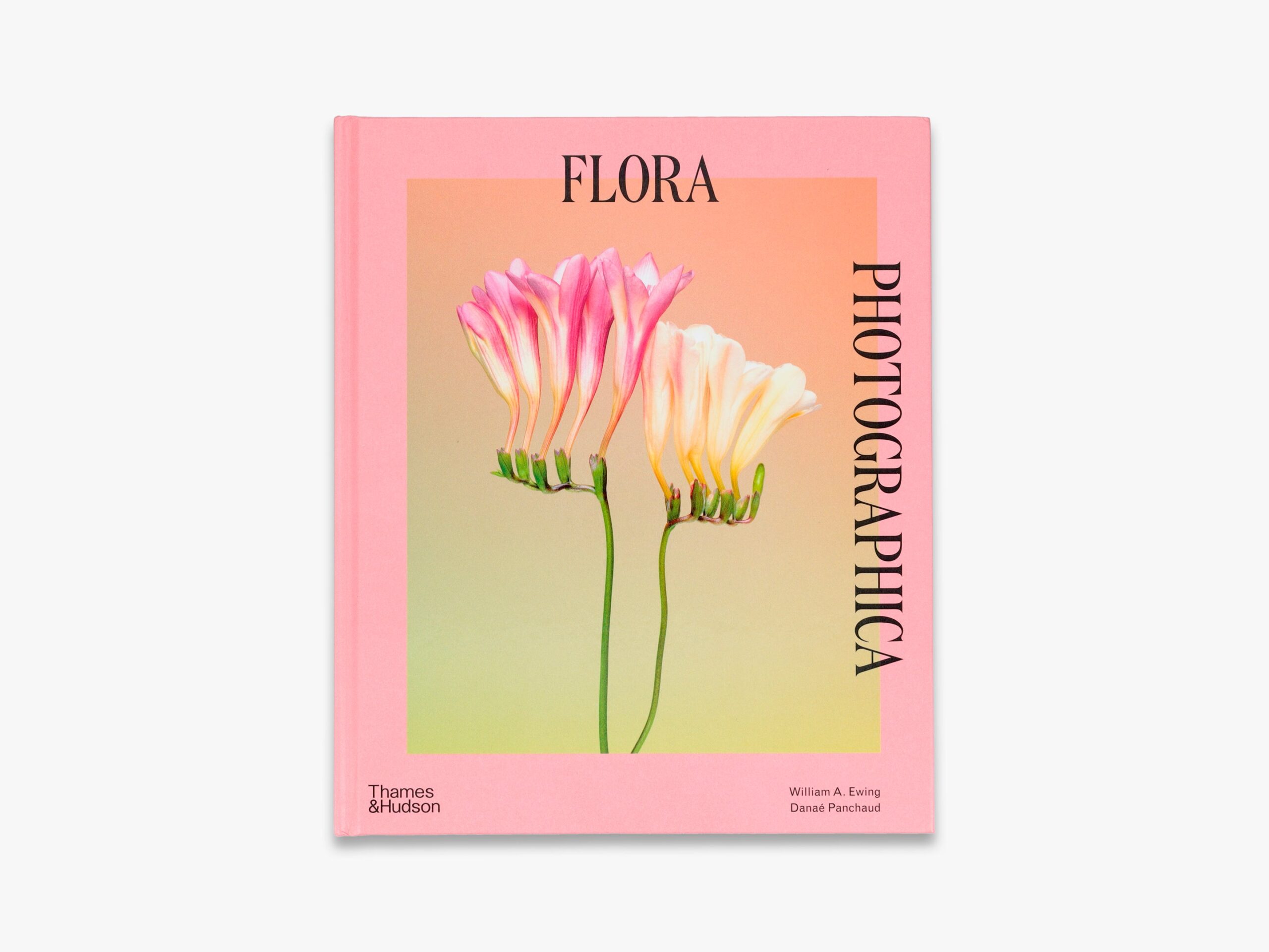 Flora Photographica