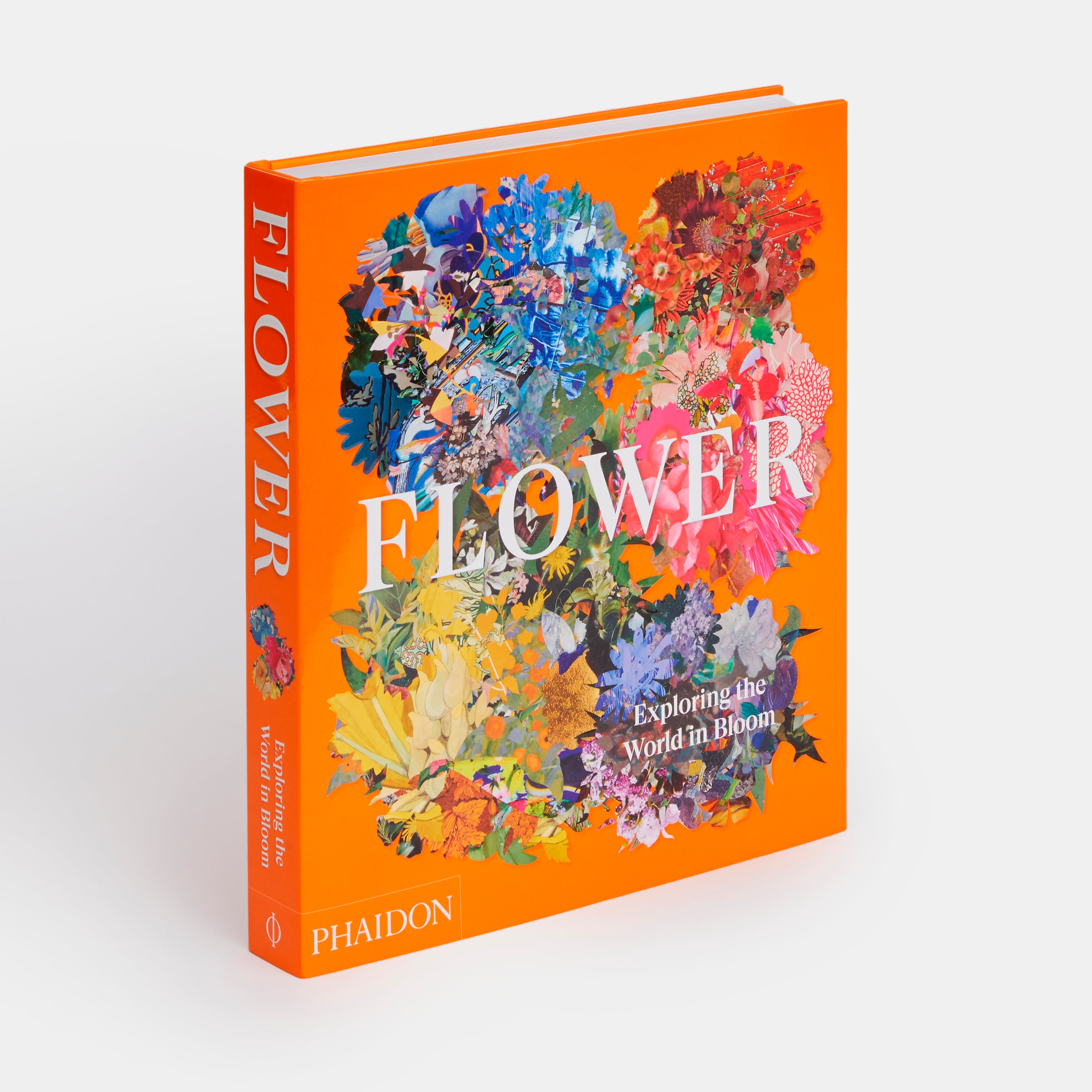 Flower: Exploring the World in Bloom cover