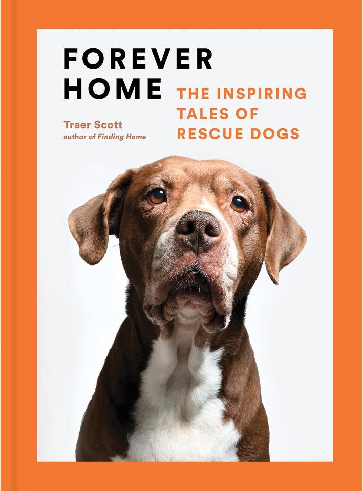 Forever Home cover
