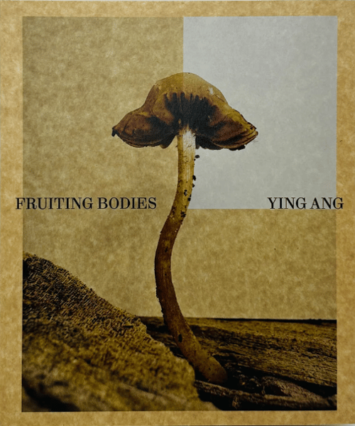 Fruiting Bodies