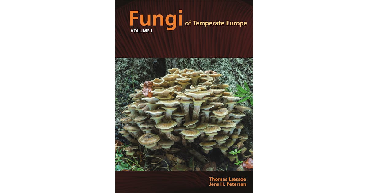 Fungi of Temperate Europe cover