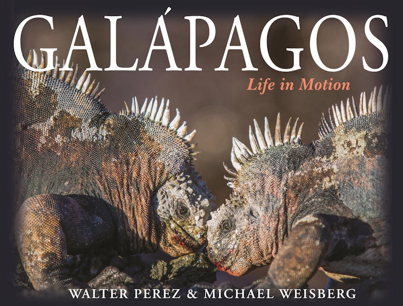 Galápagos: Life in Motion cover