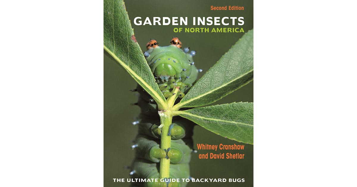 Garden Insects of North America: The Ultimate Guide to Backyard Bugs