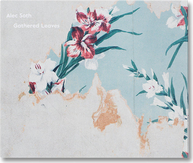 Gathered Leaves Postcards