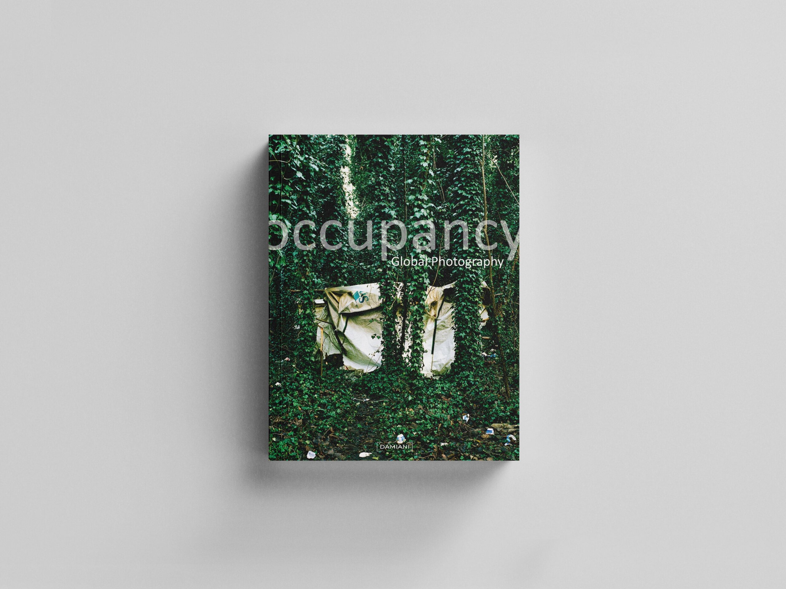 Global photography occupancy cover