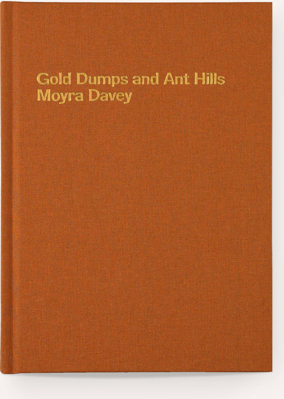 Gold Dumps and Ant Hills / Moyra Davey