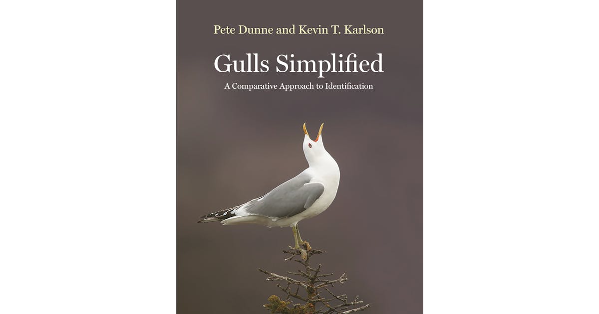 Gulls Simplified: A Comparative Approach to Identification cover