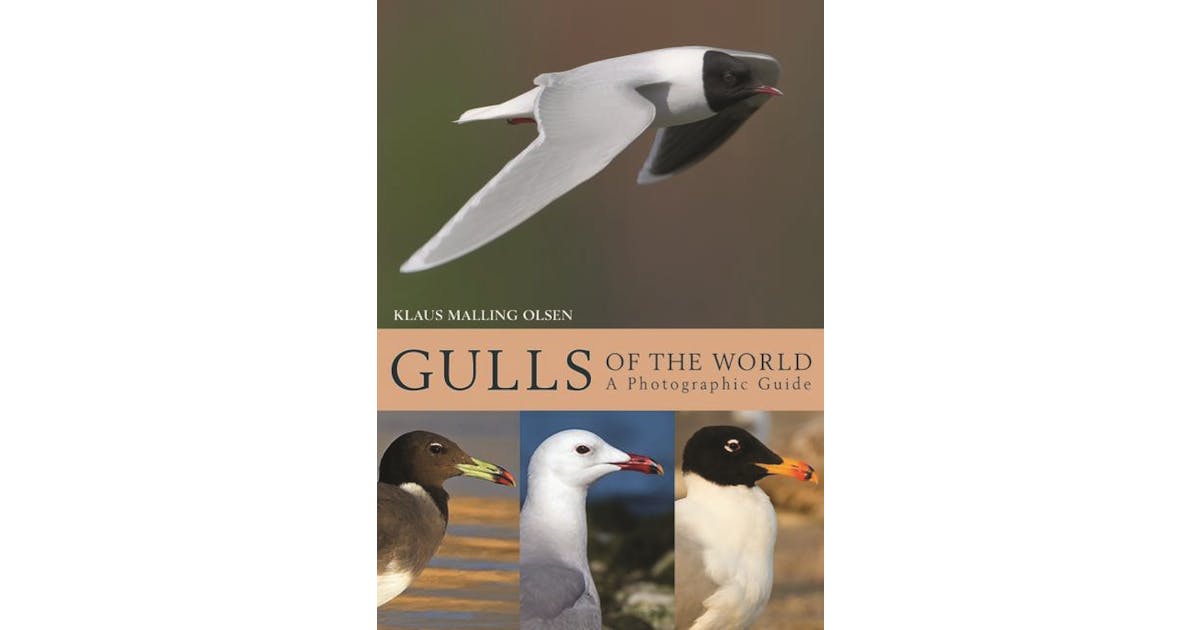 Gulls of the World: A Photographic Guide cover