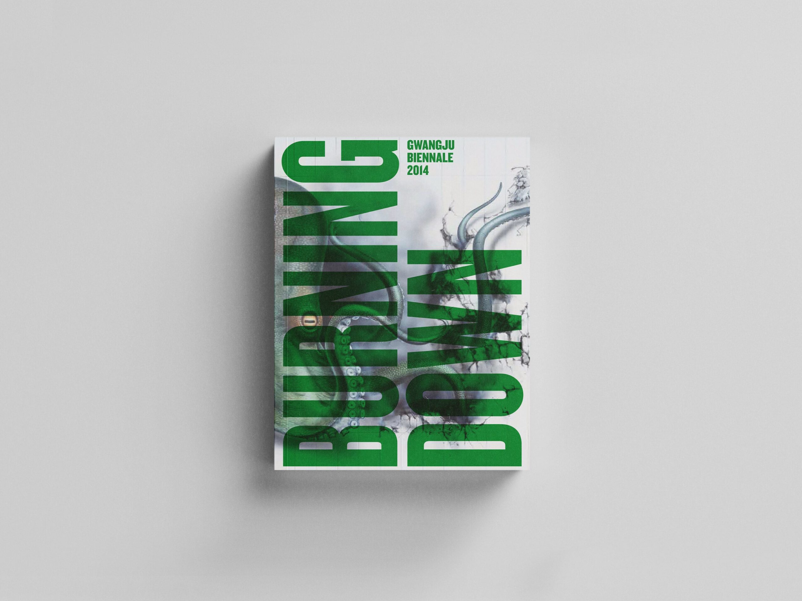 Gwangju Biennale 2014. Burning Down The House cover