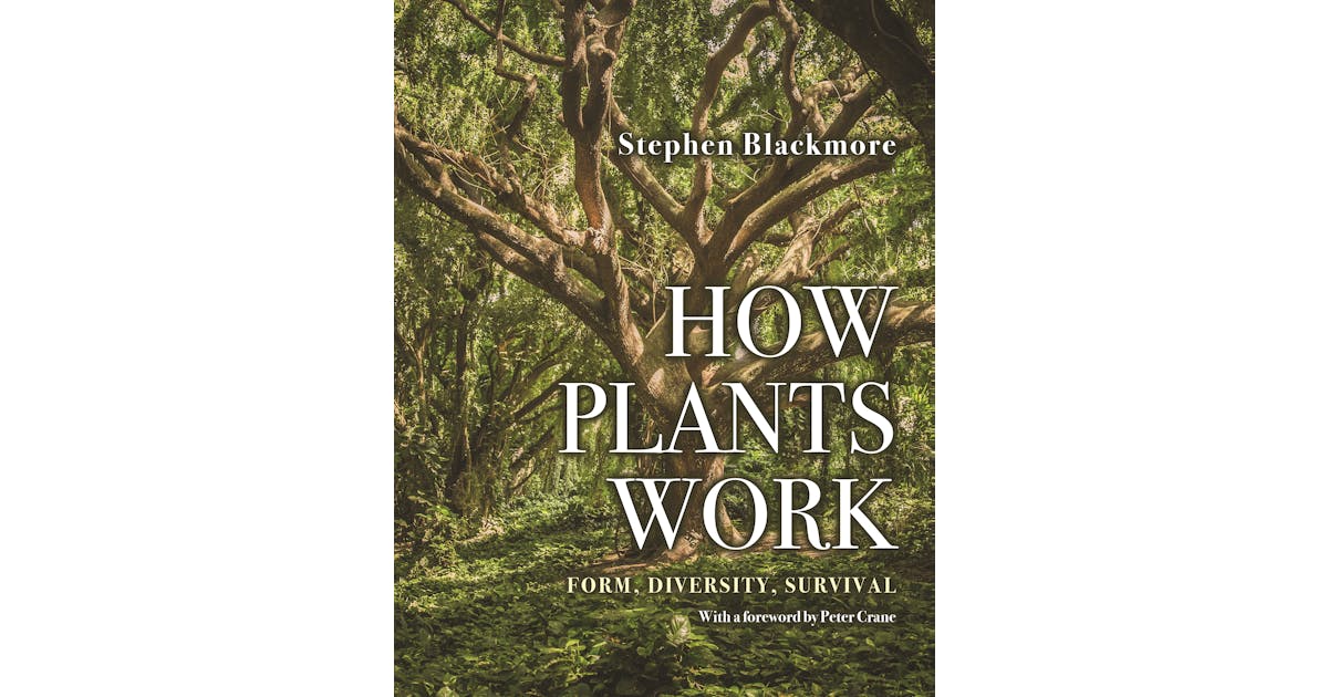 How Plants Work: Form, Diversity, Survival