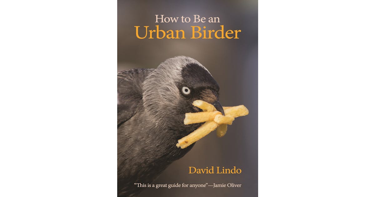 How to Be an Urban Birder cover