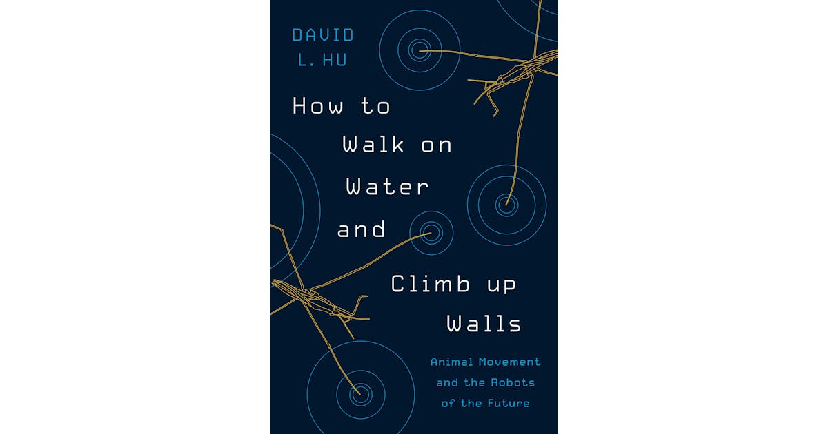 How to Walk on Water and Climb up Walls: Animal Movement and the Robots of the Future