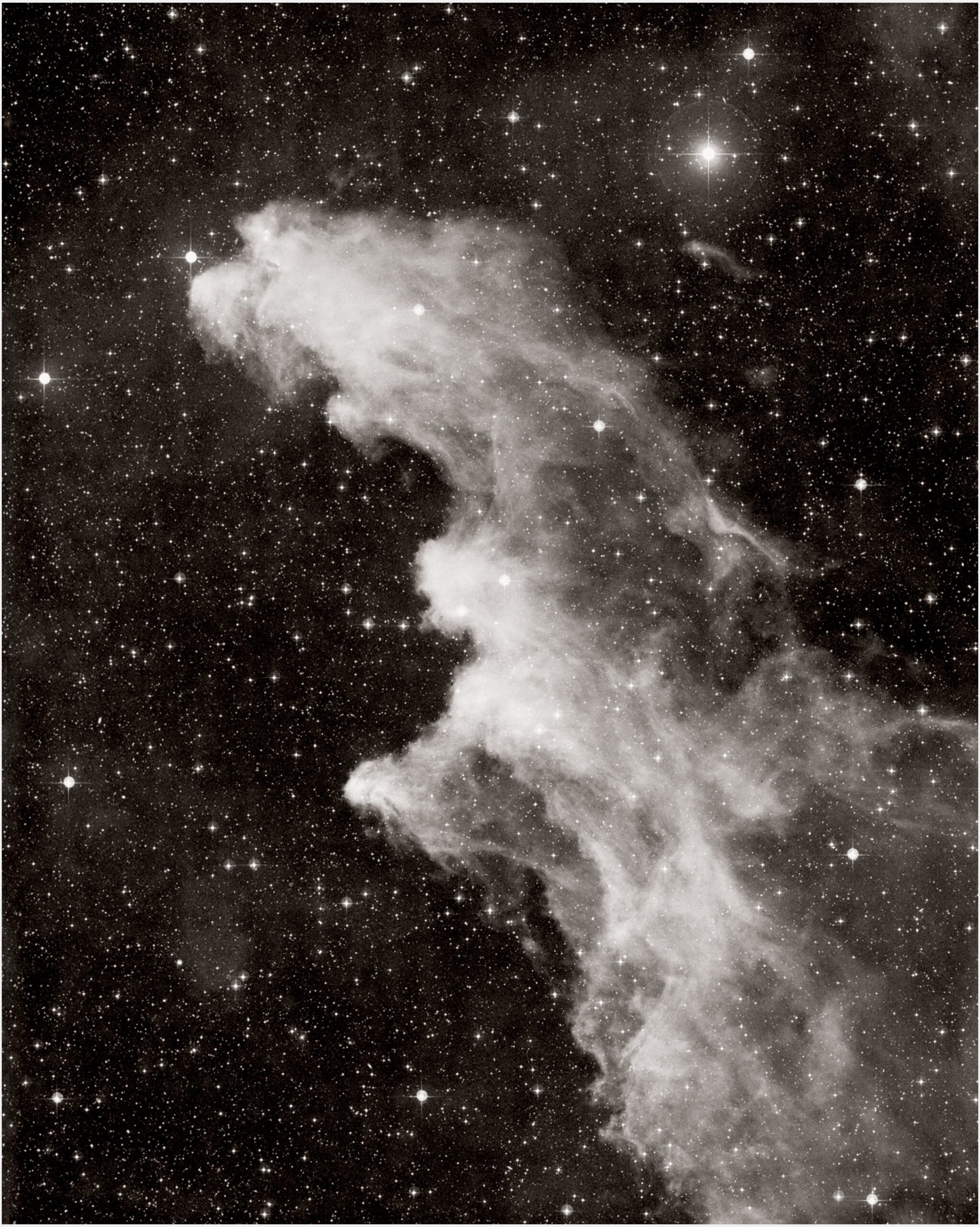 IC 2118, the Witch’s Head nebula, in Eridanus